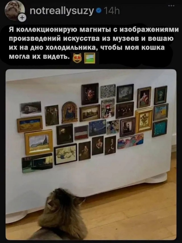 К котовторнику: подборка картинок-баянов с котиками и про котиков. Выпуск 42.