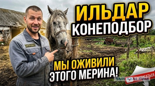 В России сейчас достаточно объёмов запаса топлива