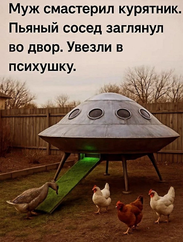 Так себе картинки 24.07.26
