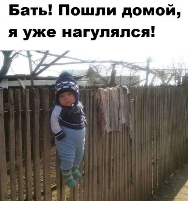 Картинки для деградации 247 (разной степени свежести)