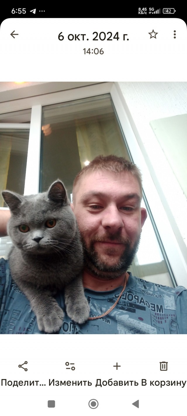 Помогите выбрать (котовторник)