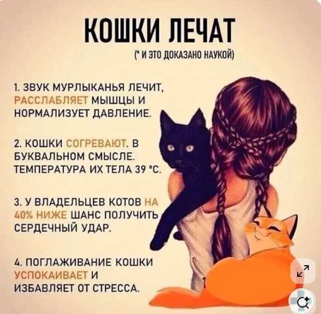 Прикольные и просто красивые картинки 01.09.2026