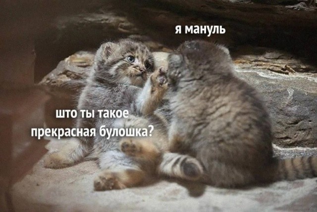 Так себе картинки 12.10.26