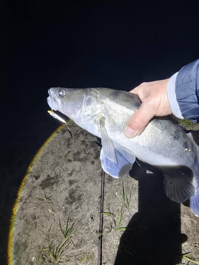Судак