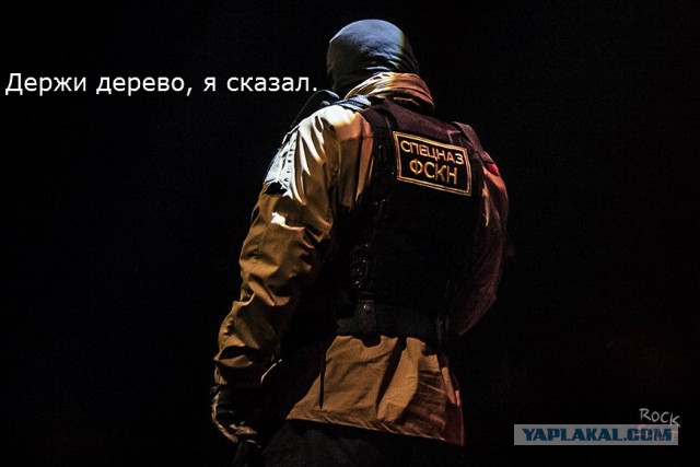 Держи дерево!