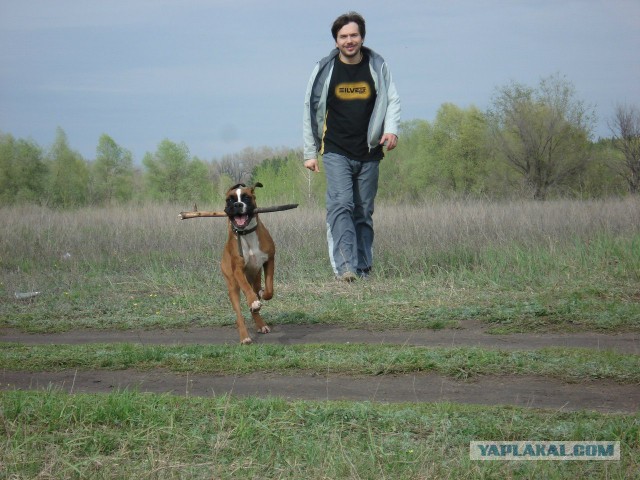 Собакочетверг никто не отменял.