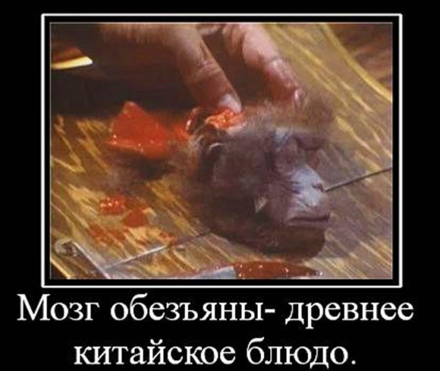 Не смотрите эту тему, там опять Обама