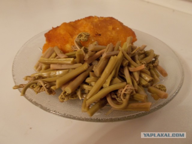 Папоротник Осмунда с мясом