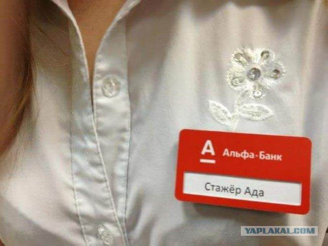 Забавные картинки из Сети