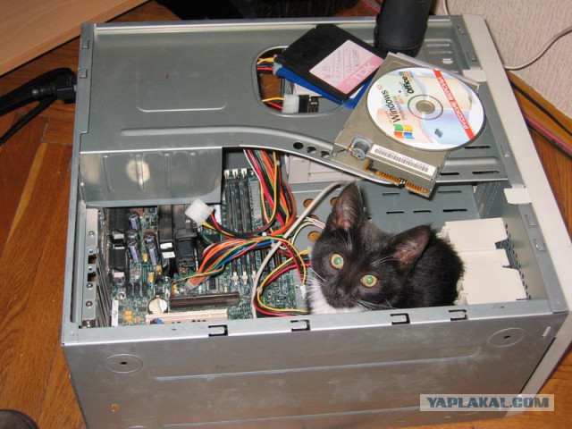 IT-Картинки