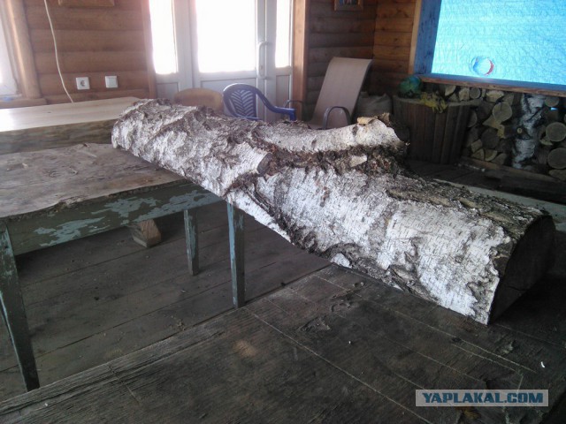 Лавка из березового бревна