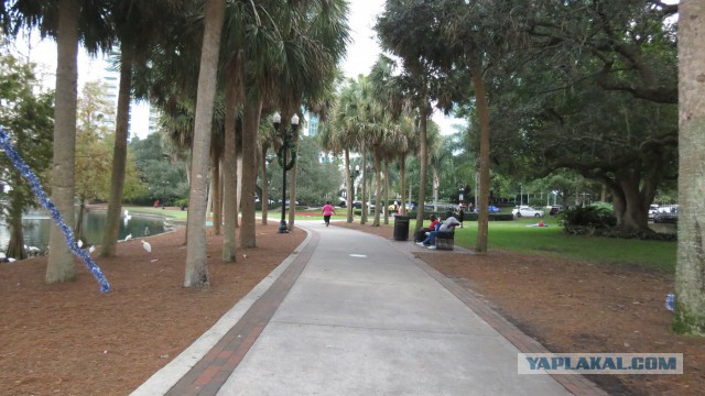 Флорида.Орландо.