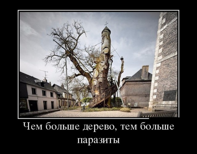 Ассорти картинок из сети
