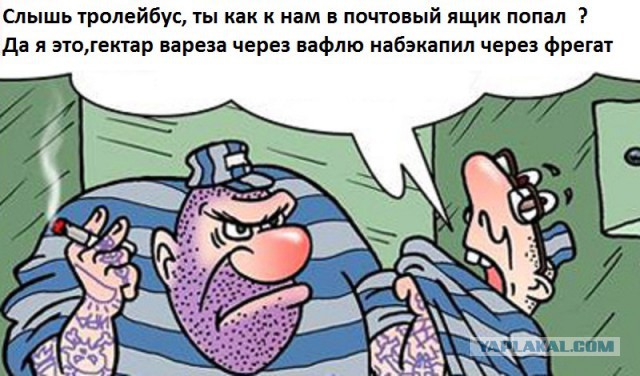 В Думу внесли законопроект, запрещающий технологии обхода (VPN, TOR) блокировок сайтов