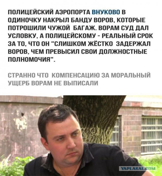 Подборка интересных и веселых картинок