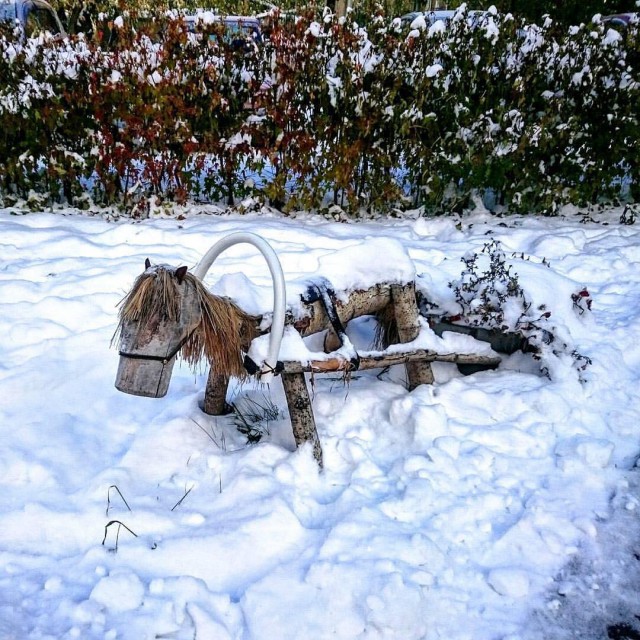 Картинок всяких