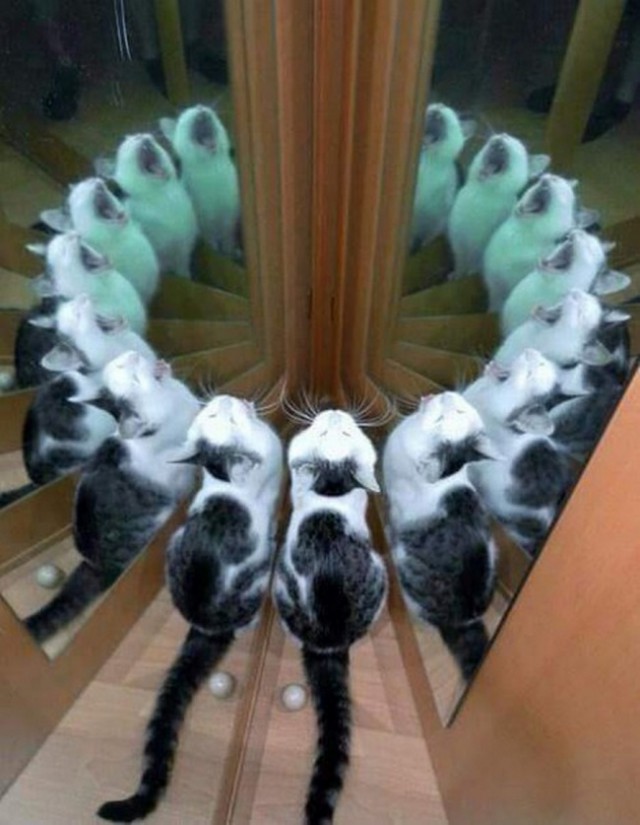20 фото, на которых происходит неведомая фигня!