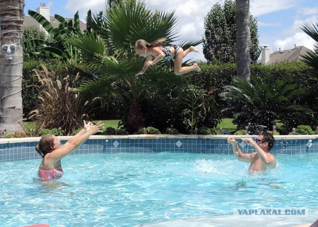 Подборка фотографий, сделанных в нужный момент