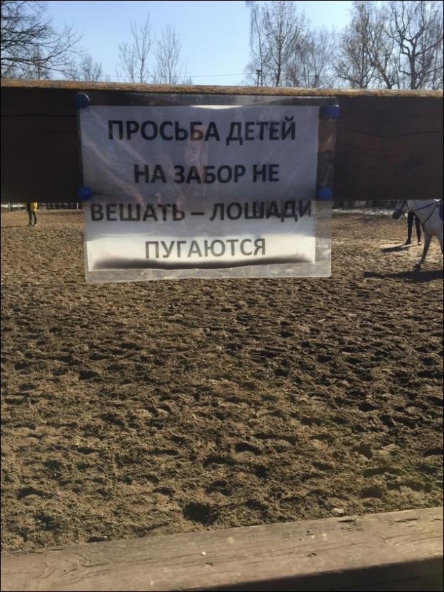 Нестандартный юмор