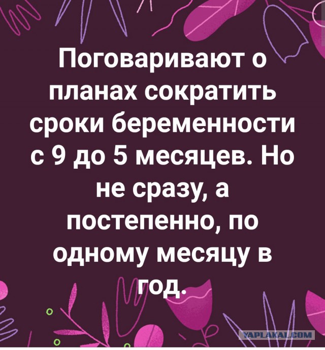 Комитет Думы поддержал к I чтению законопроект о повышении пенсионного возраста