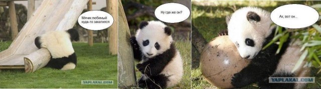 Пандо понедельник :)