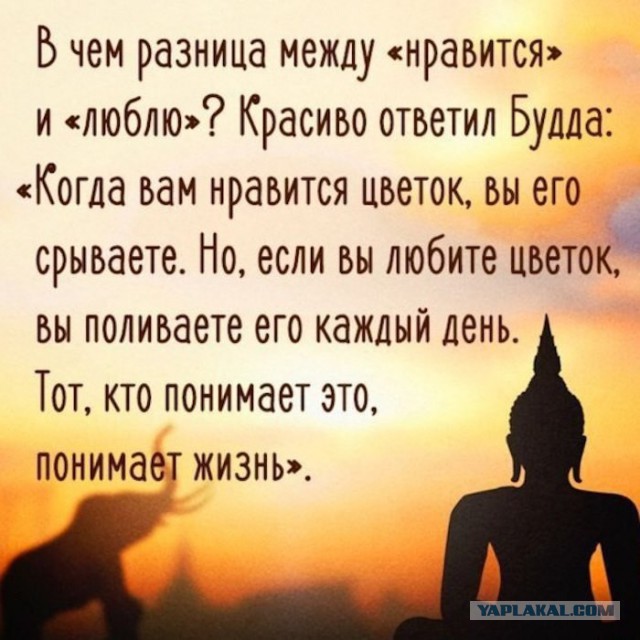 Картинки юморные и тексты