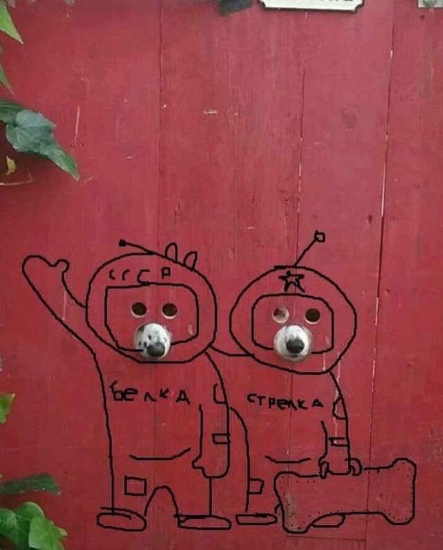 Нестандартный юмор