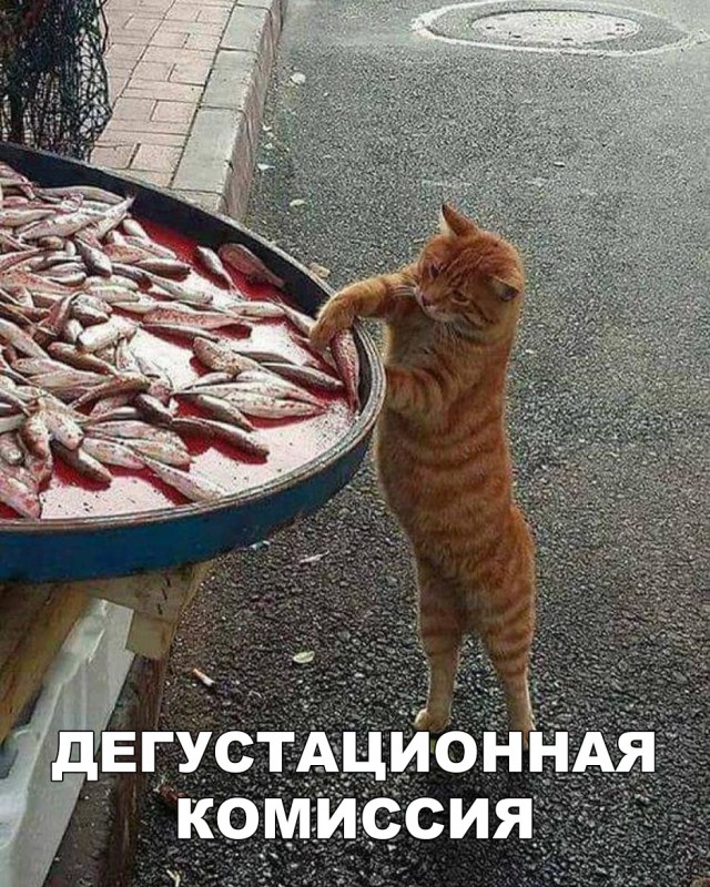 Немного милоты