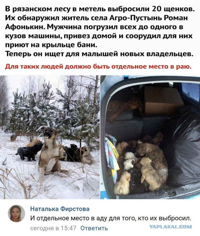 Трогательные истории в фотографиях