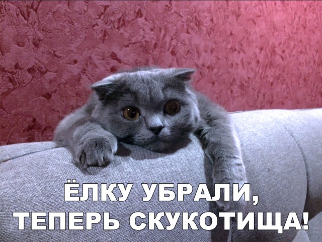 Прикольные картинки абавсём