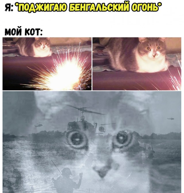 Немного картинок для настроения