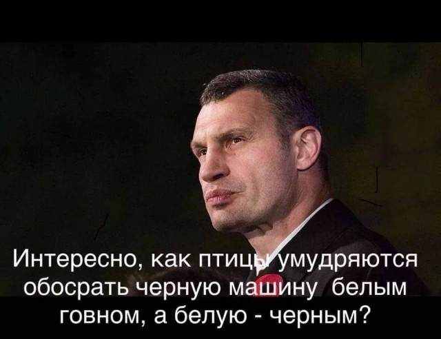 Еще одна большая подборка картинок