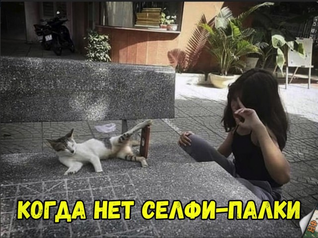 Нестандартный юмор