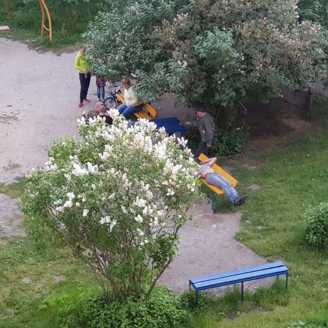 Скотсети и прочие интернеты 10.06.19
