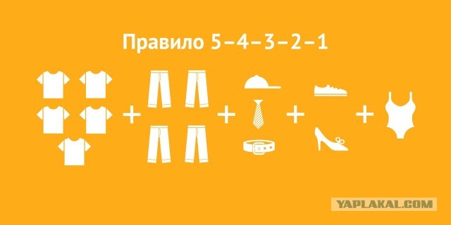 Женщина - это ее сумка