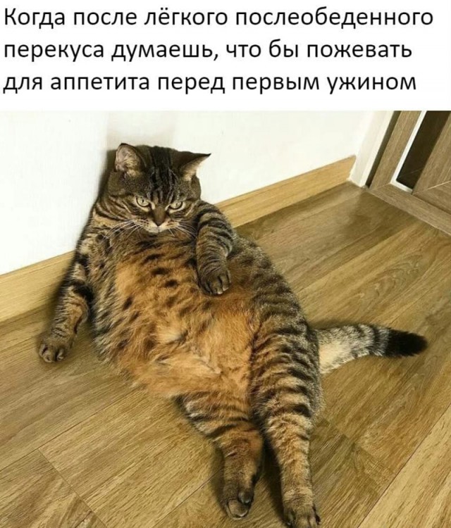 Небольшая подборочка для настроения