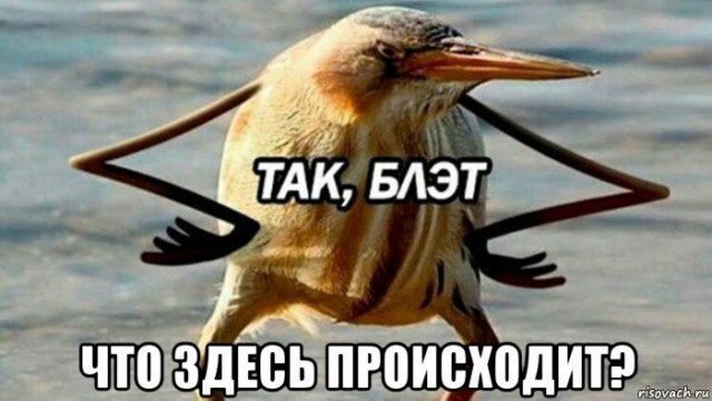 Вы - женоненавистник