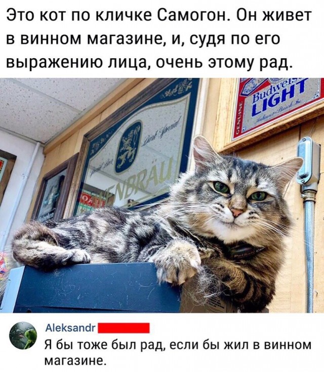 Немного картинок с надписями и без - 45
