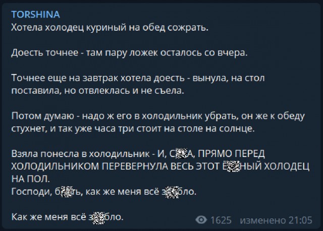 Когда зае***лся — читай Телегу Елены Торшиной