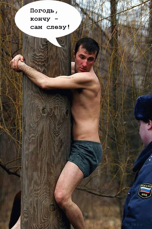 Надпись-жаба: Кто вы такие? Я вас не звал!