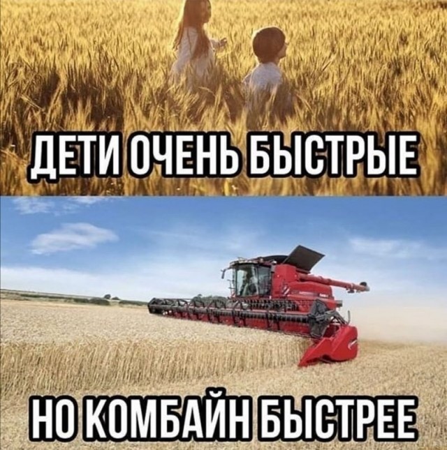 Чепухень на каждый день