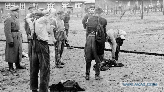 11 апреля 1945 года произошло восстание узников концлагеря Бухенвальд.