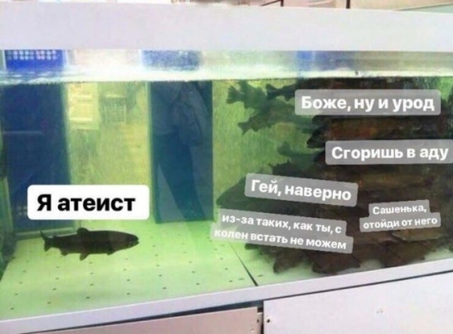 В Иваново атеист два года преподавал детям математику в школе
