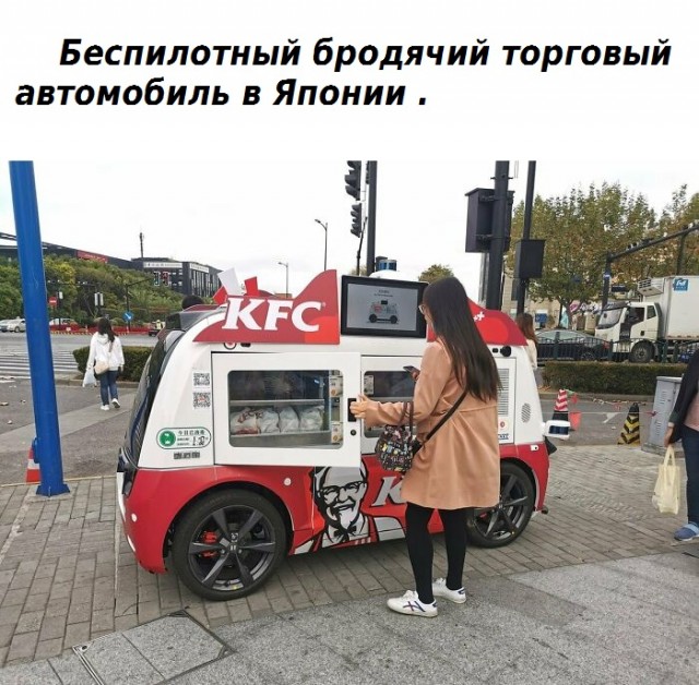 Факты, доказывающие, что Япония не похожа ни на одну другую страну .