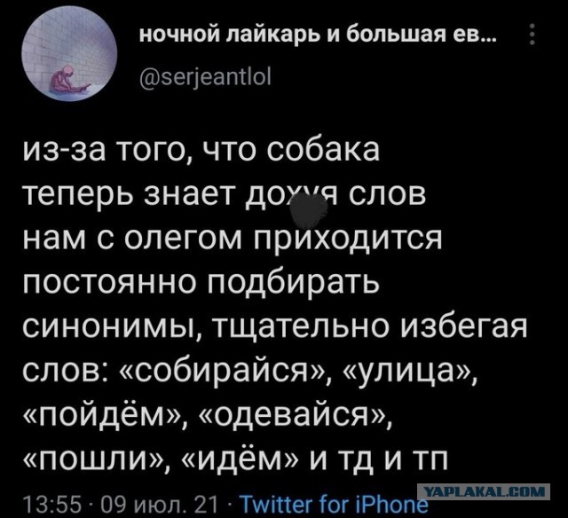 Весёлый полтишок 14.07