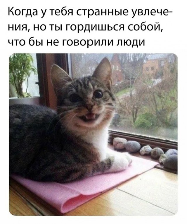 Картинки и мемы для настроения 28.12.2021