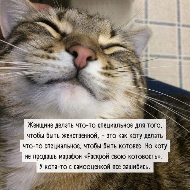 Так себе картинки 15.04.22