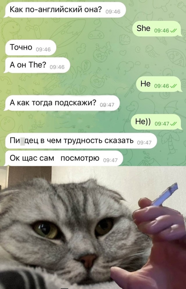Так себе картинки 16.04.22