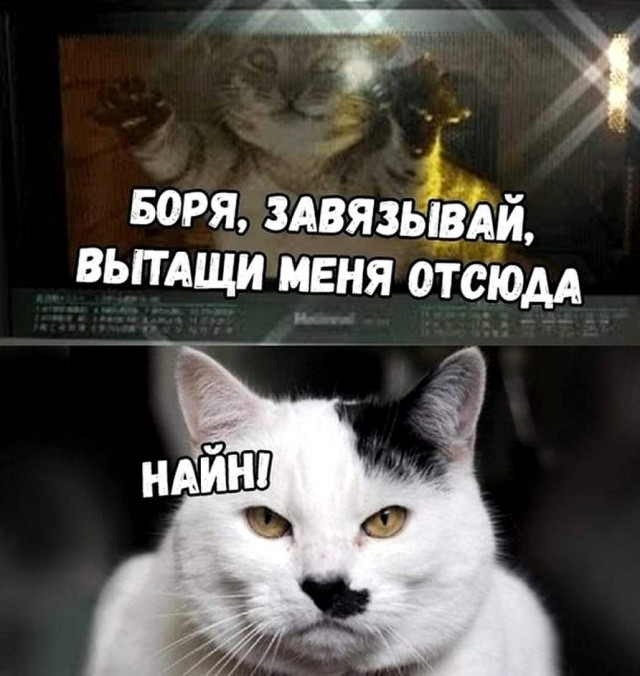 Картинки с комментариями 02.06.2022