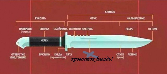 19 важных, нужных и познавательных шпаргалок, которые могут пригодиться в жизни